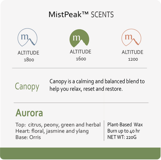 Altitude 1000 Canopy I Aurora